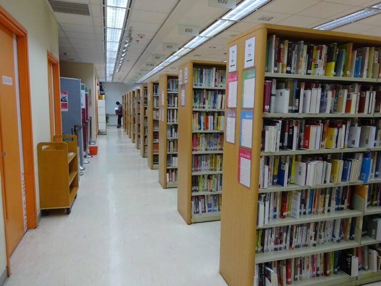 Your Library Card Is the Best Deal in Apache Junction